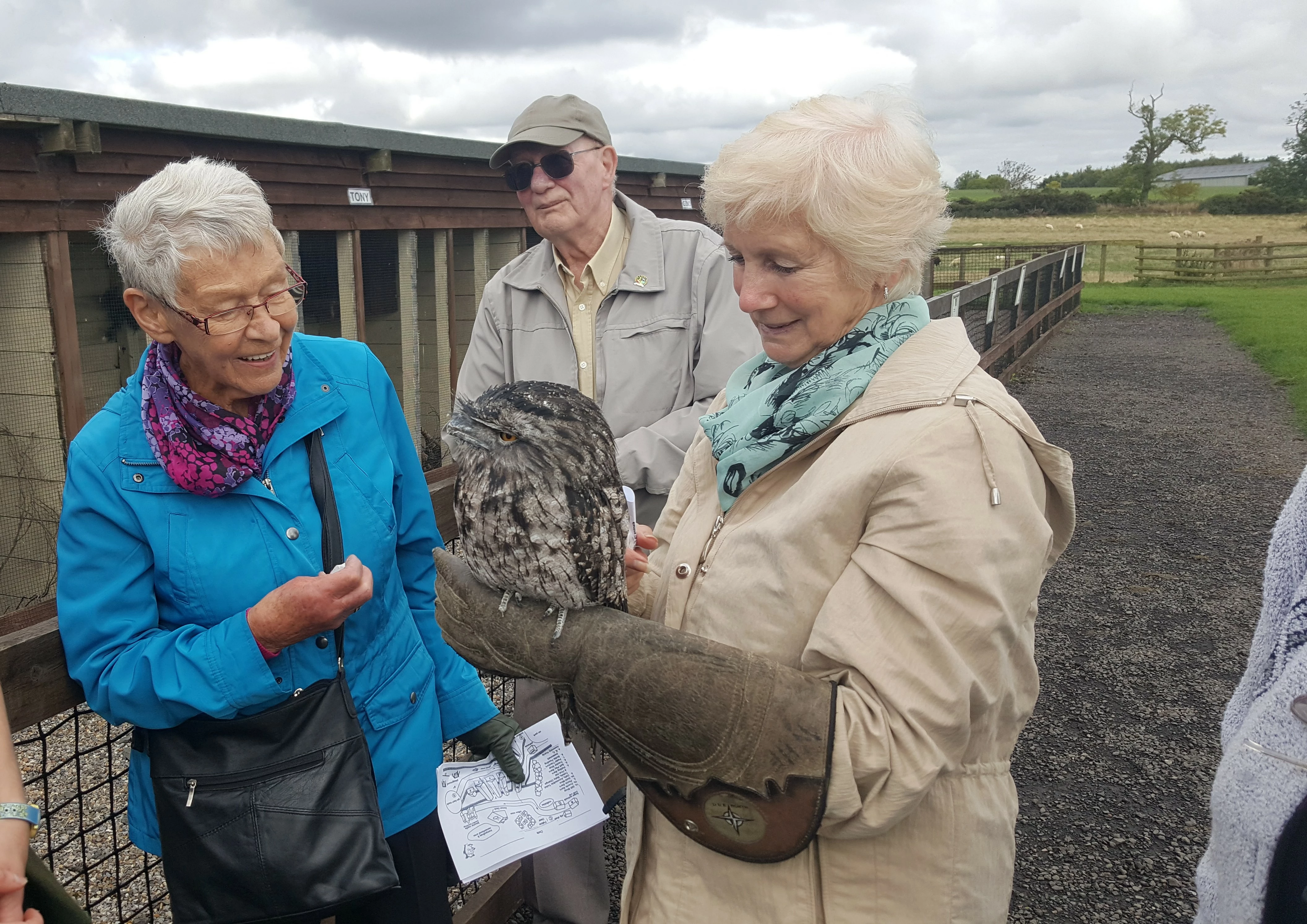 Owls at Whitehouse Farm