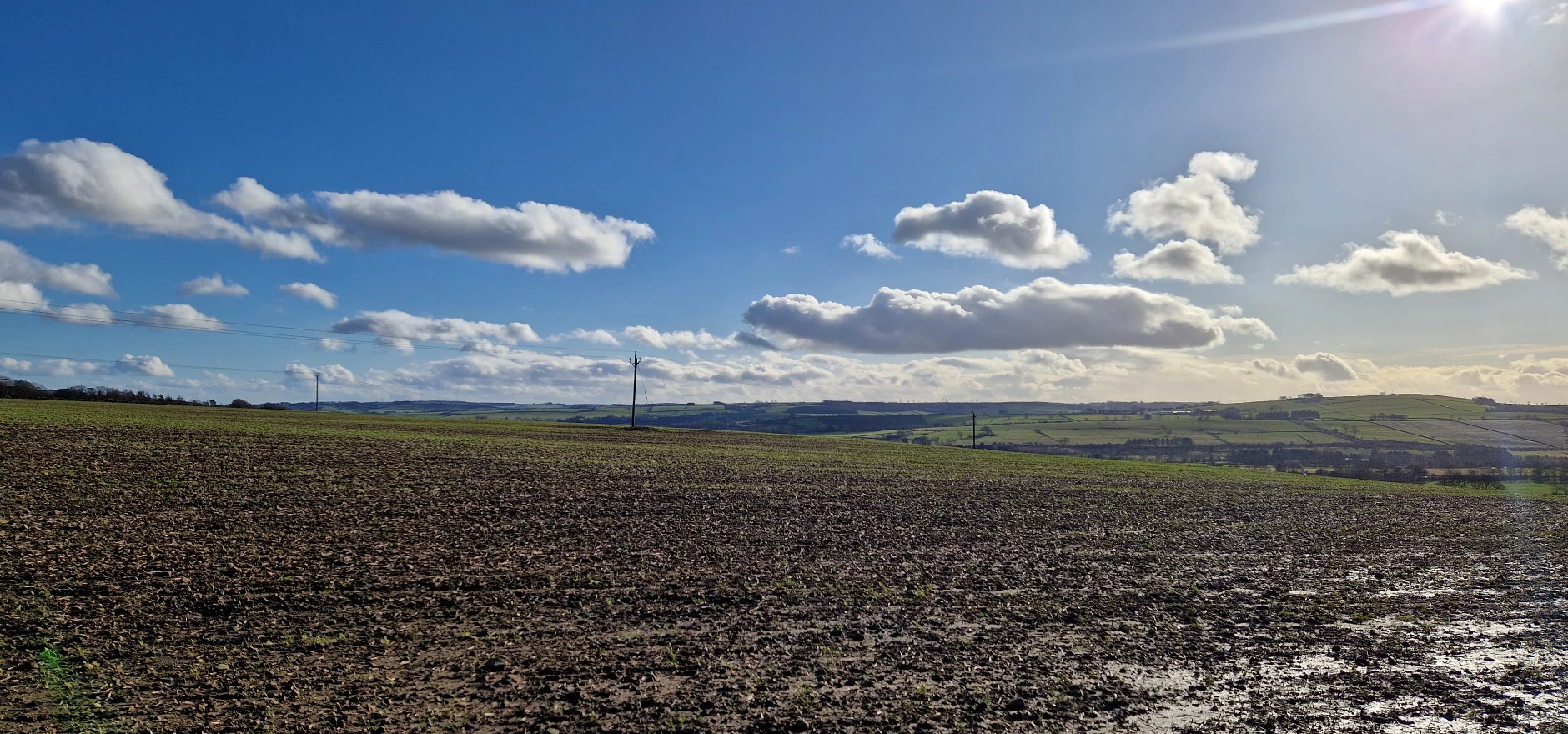 GREENCROFT FOREST PARK - ENGLAND'S LARGEST COMMERCIAL FOREST TO BE PLANTED IN DECADES.jpg