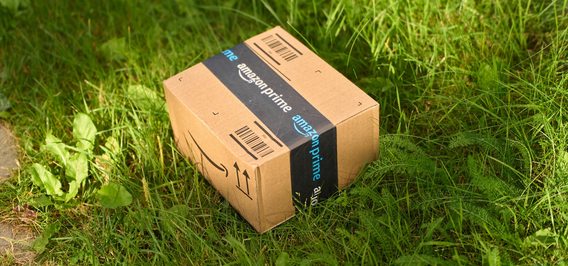 Amazon package.jpeg