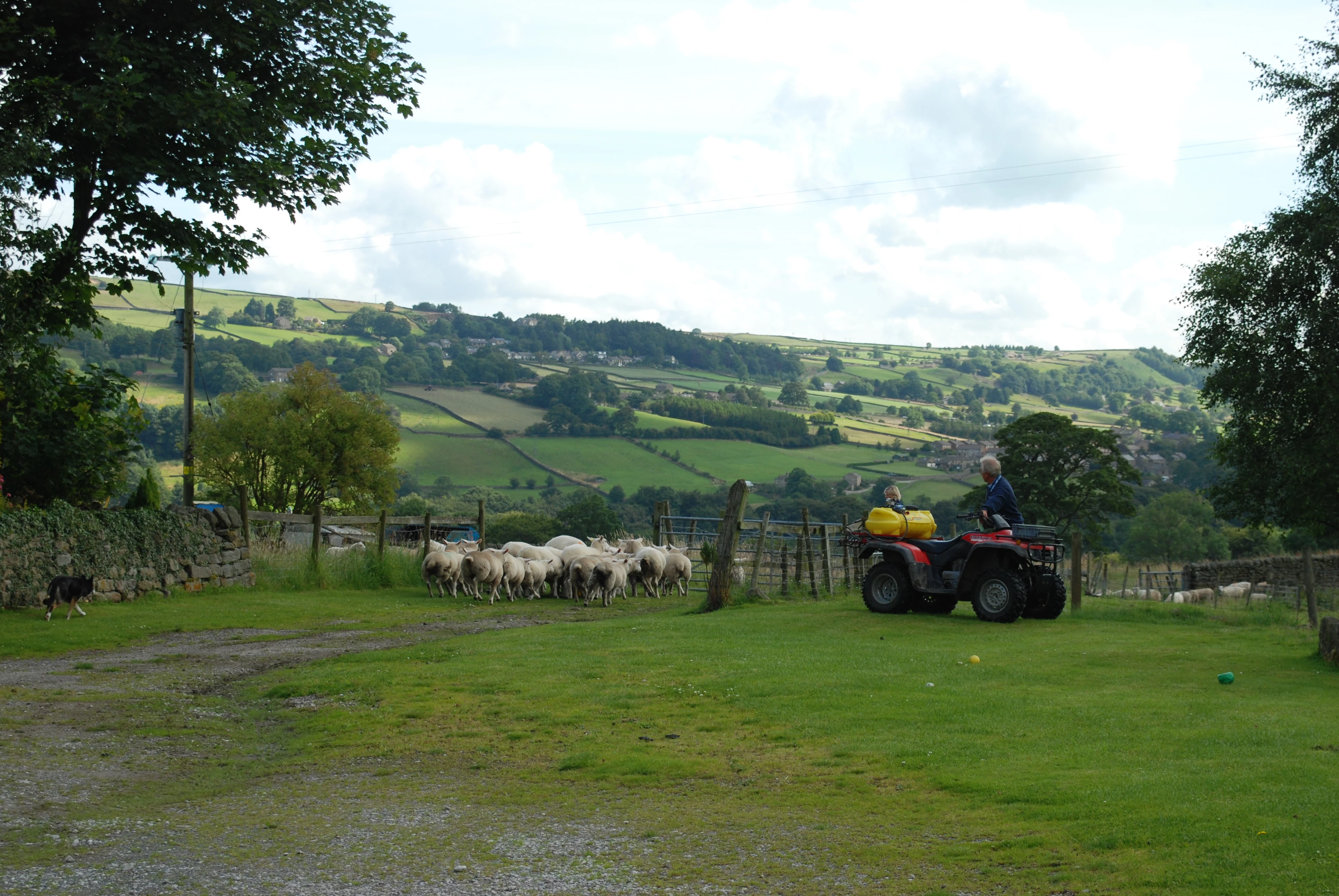 Yorkshire farm