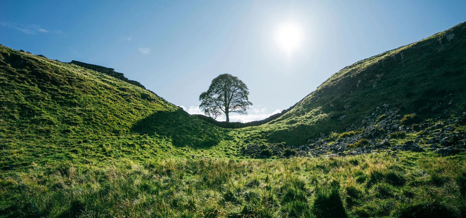 Sycamore Gap pic resize.jpg