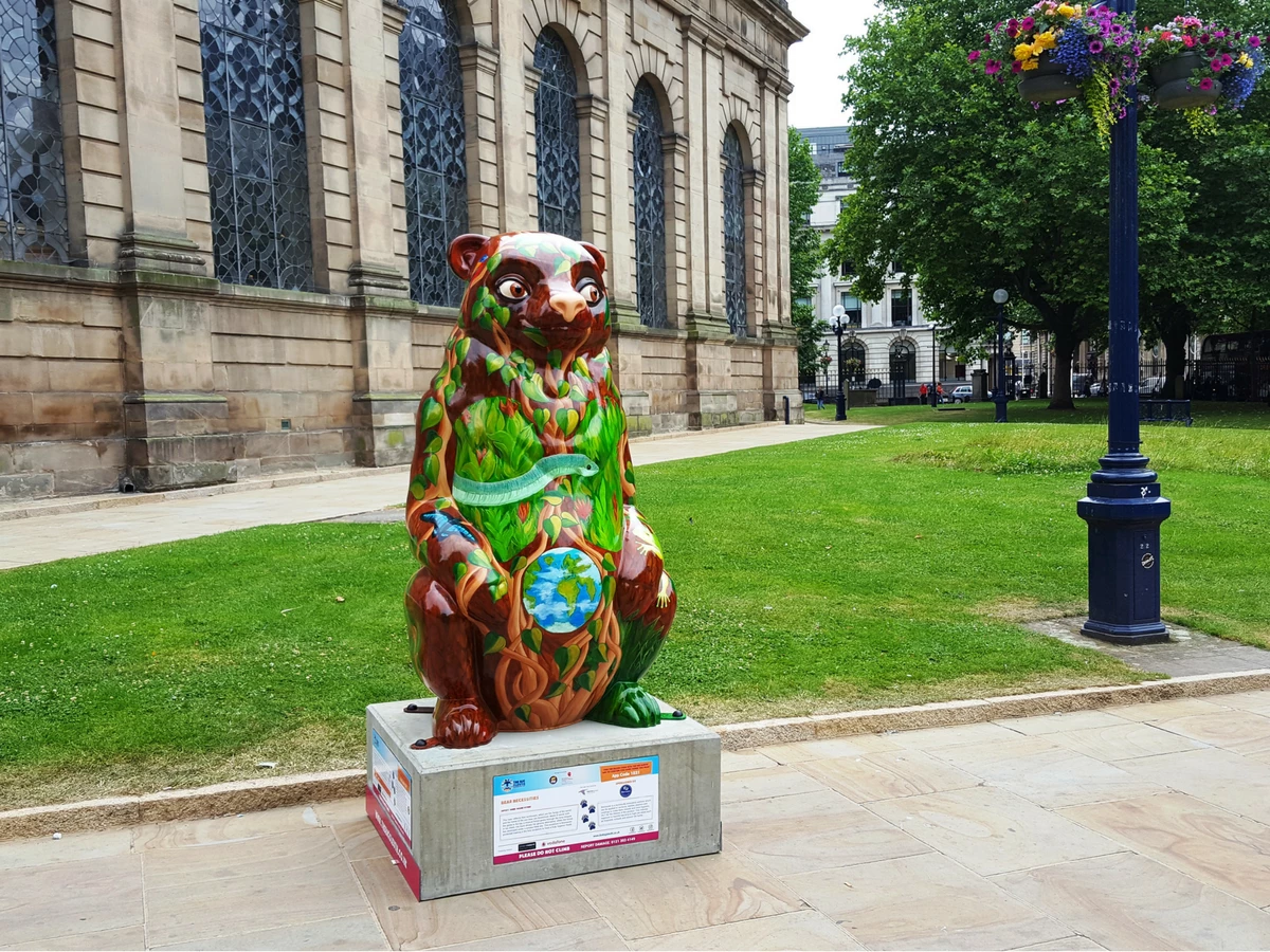'Bear Necessities' bear on the big sleuth trail